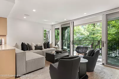 800 E Hopkins Avenue #B5, Aspen, CO 81611 - Photo 6