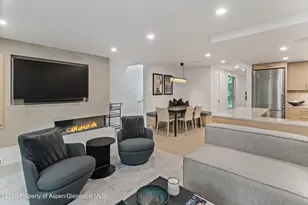 800 E Hopkins Ave, Aspen, CO 81611 - Photo 10