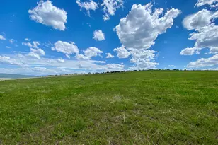 Tbd County Road 15, Meeker, CO 81641 - Photo 46