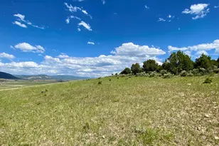 Tbd County Road 15, Meeker, CO 81641 - Photo 38