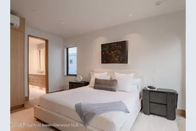 227 E Main Street, Aspen, CO 81611 - Photo 26