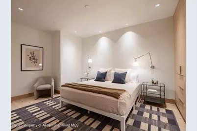 227 E Main Street, Aspen, CO 81611 - Photo 38