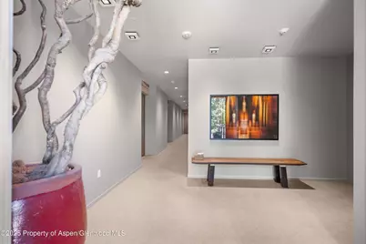 202 Evans Road #202, Basalt, CO 81621 - Photo 2