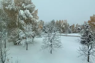 202 Evans Rd, Basalt, CO 81621 - Photo 20