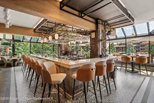 300 Carriage Way, Snowmass Village, CO 81615 - Photo 12