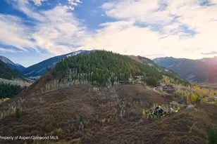 864 Moore Dr, Aspen, CO 81611 - Photo 36