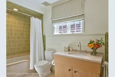 864 Moore Drive, Aspen, CO 81611 - Photo 18