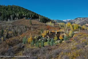 864 Moore Dr, Aspen, CO 81611 - Photo 4