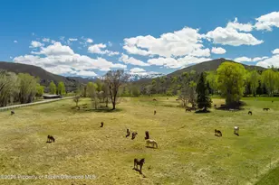 3333 Snowmass Creek Rd, Snowmass, CO 81654 - Photo 42