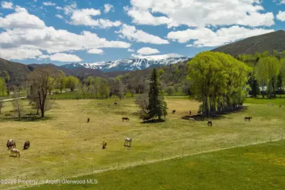 3333 Snowmass Creek Road, Snowmass, CO 81654 - Photo 4
