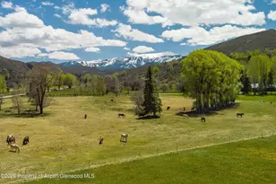 3333 Snowmass Creek Rd, Snowmass, CO 81654 - Photo 4