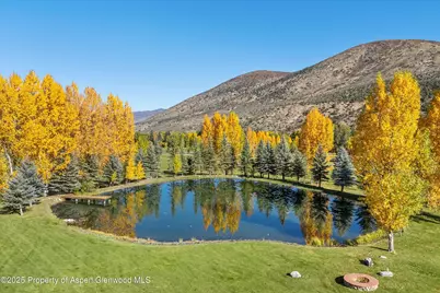 3333 Snowmass Creek Road, Snowmass, CO 81654 - Photo 4