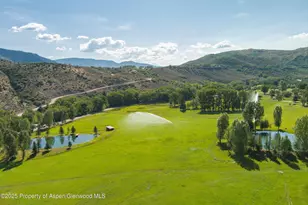3333 Snowmass Creek Rd, Snowmass, CO 81654 - Photo 6