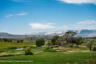 1563 Co Rd 326, Silt, CO 81652 - Photo 24
