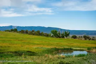 1563 Co Rd 326, Silt, CO 81652 - Photo 20