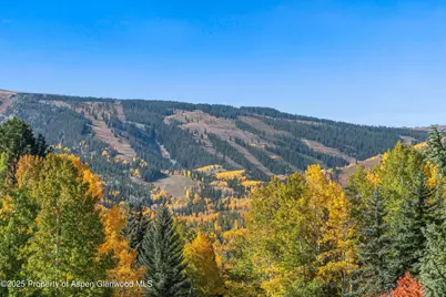 15 Terrace Drive, Snowmass Village, CO 81615 - Photo 10