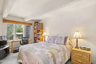 124 W Hyman Ave, Aspen, CO 81611 - Photo 10