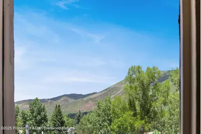 124 W Hyman Avenue #3B, Aspen, CO 81611 - Photo 22