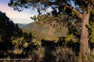 2800 Cedar Dr, Basalt, CO 81621 - Photo 30