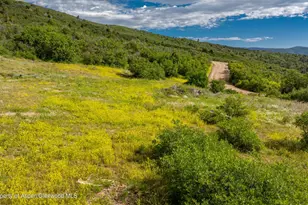 Tbd Co Rd 126, Glenwood Springs, CO 81601 - Photo 10
