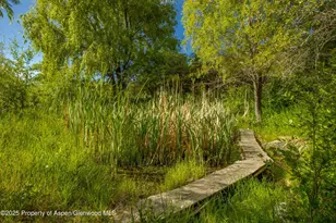 Tbd Co Rd 126, Glenwood Springs, CO 81601 - Photo 8