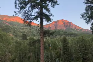 135 Irwin Dr, Redstone, CO 81623 - Photo 42