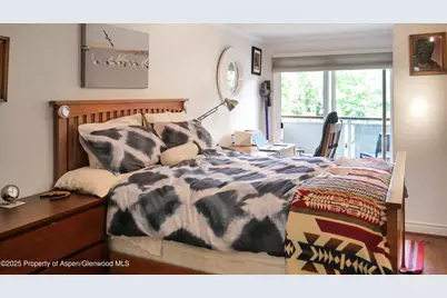 100 E Dean Street #2C, Aspen, CO 81611 - Photo 8