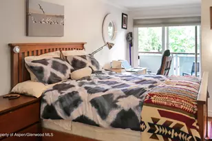 100 E Dean St, Aspen, CO 81611 - Photo 8