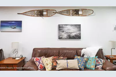 100 E Dean Street #2C, Aspen, CO 81611 - Photo 2