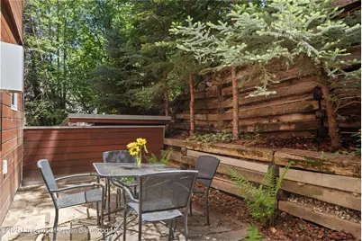 714 S Galena Street #B, Aspen, CO 81611 - Photo 30