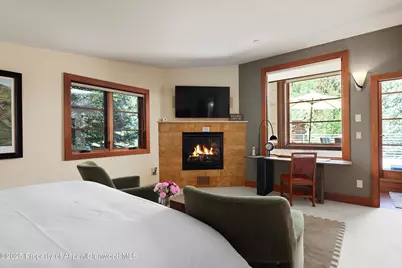 714 S Galena Street #B, Aspen, CO 81611 - Photo 14