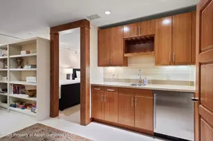 714 S Galena St, Aspen, CO 81611 - Photo 36