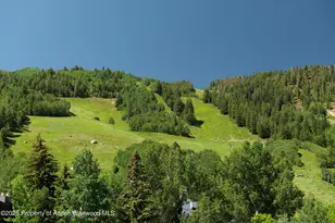 714 S Galena St, Aspen, CO 81611 - Photo 26