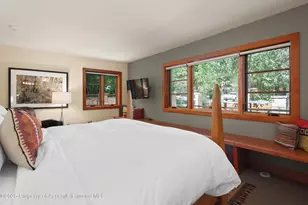 714 S Galena St, Aspen, CO 81611 - Photo 32