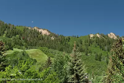 714 S Galena Street #B, Aspen, CO 81611 - Photo 24