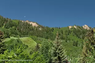 714 S Galena St, Aspen, CO 81611 - Photo 24