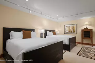 714 S Galena St, Aspen, CO 81611 - Photo 38