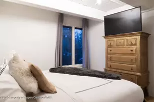 1039 E Cooper Ave, Aspen, CO 81611 - Photo 18