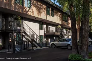 1039 E Cooper Ave, Aspen, CO 81611 - Photo 36