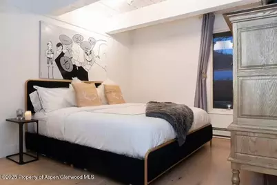 1039 E Cooper Avenue #16A, Aspen, CO 81611 - Photo 20