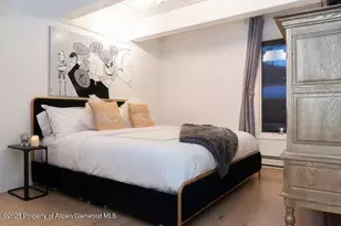 1039 E Cooper Ave, Aspen, CO 81611 - Photo 20