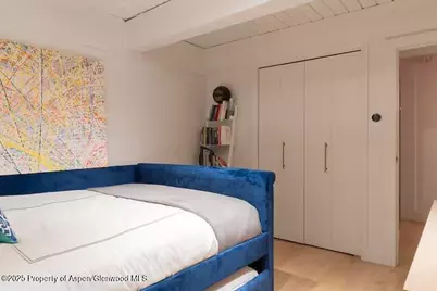 1039 E Cooper Avenue #16A, Aspen, CO 81611 - Photo 22