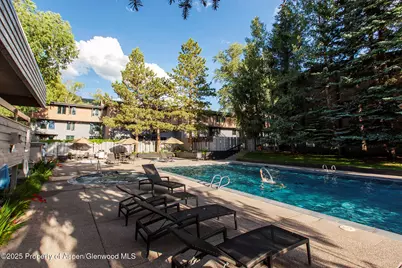1039 E Cooper Avenue #16A, Aspen, CO 81611 - Photo 34