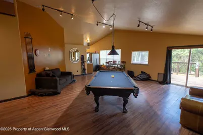 12053 Highway 65, Eckert, CO 81418 - Photo 4