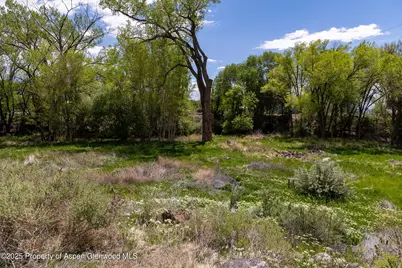 12053 Highway 65, Eckert, CO 81418 - Photo 24