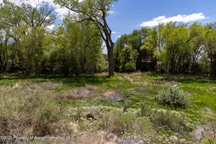 12053 Hwy 65, Eckert, CO 81418 - Photo 24