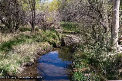 12053 Highway 65, Eckert, CO 81418 - Photo 22