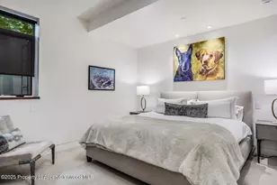 130 Primrose Path, Aspen, CO 81611 - Photo 48