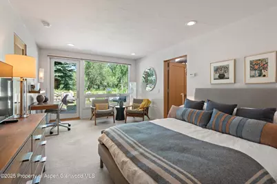 117 Neale Avenue, Aspen, CO 81611 - Photo 12