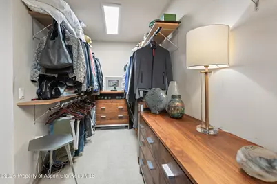 117 Neale Avenue, Aspen, CO 81611 - Photo 14